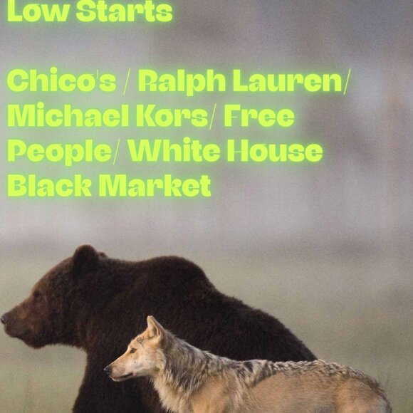 Live Show Notification - dixiemom1437 aka Tracy - Picture 2 of 4